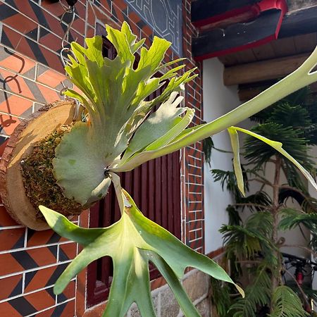 Grace Homestay Jincheng Bagian luar foto