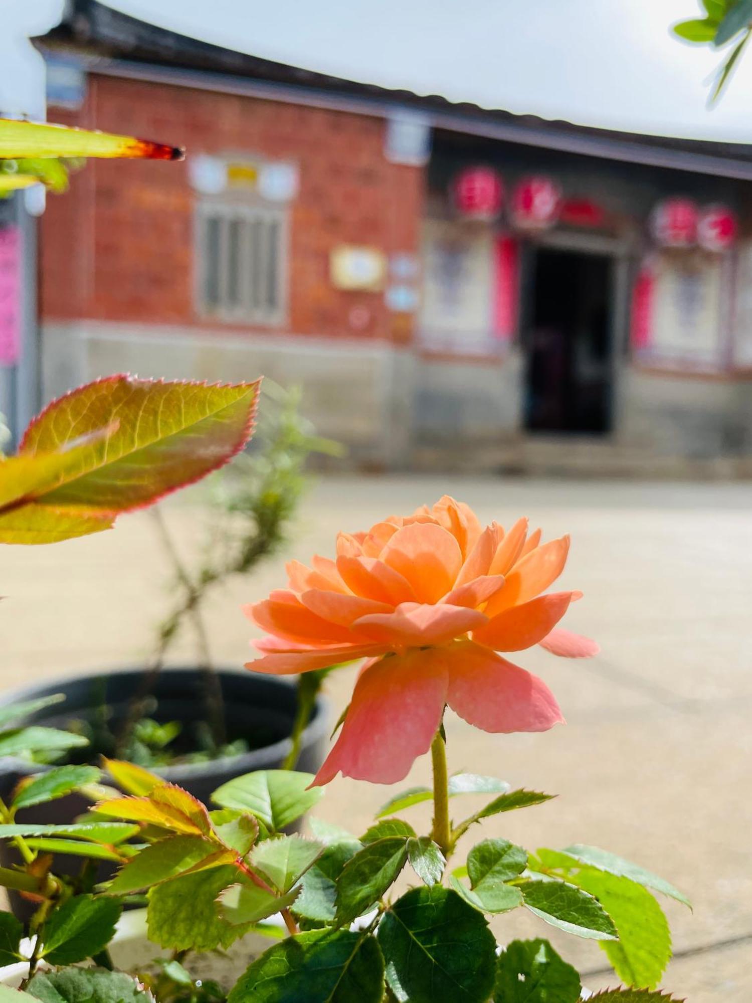 Grace Homestay Jincheng Bagian luar foto