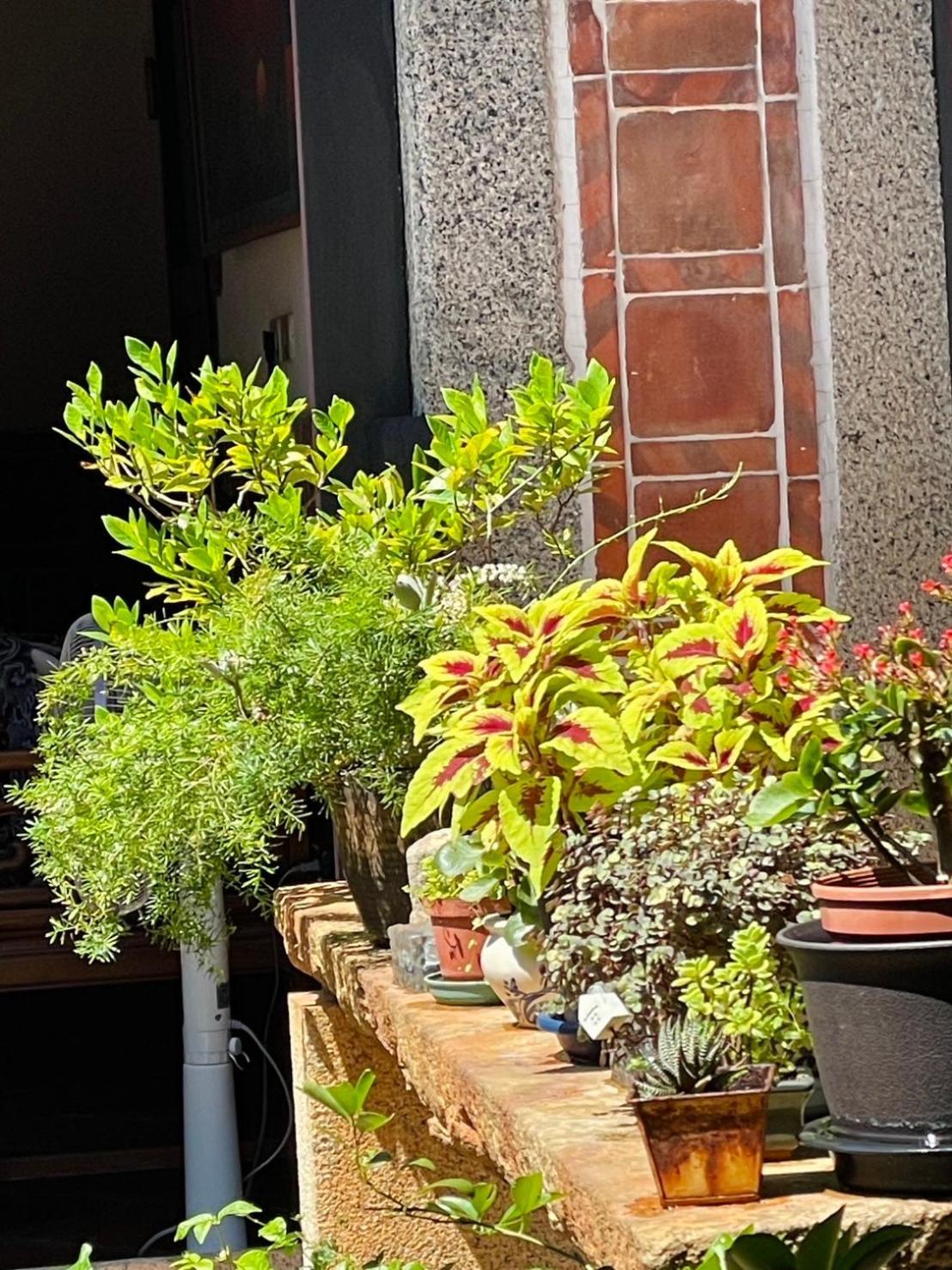 Grace Homestay Jincheng Bagian luar foto